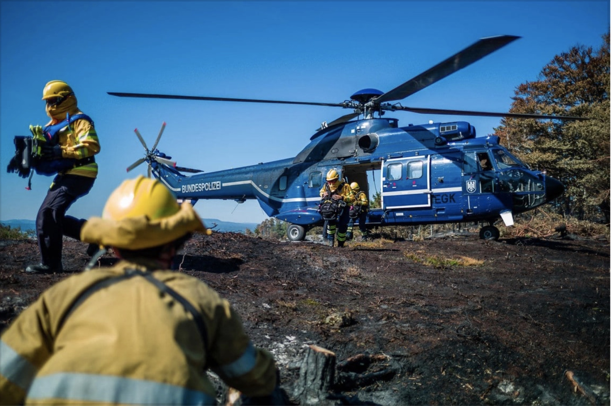 INTERSCHUTZ 2026: Mit drei starken Partnern für weniger Waldbrände: Bosch Building Technologies, Europäisches Forstinstitut (EFI), @fire – Internationaler Katastrophenschutz Deutschland e. V.